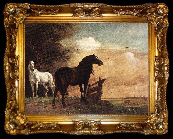 framed  POTTER, Paulus Horses in a Field zg, ta009-2